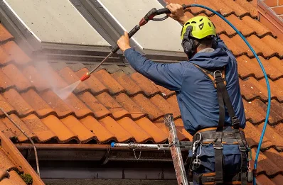 Démoussage et hydrofuge de toiture à Champrougier